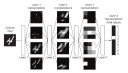 Getting started with deep learning in R