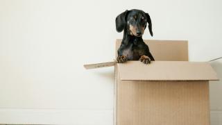 dplyr 1.0.0: select, rename, relocate